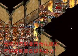 ���޵���ְҵ����˽����ο���ˢװ������ս����