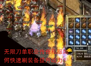 ���޵���ְҵ����˽����ο���ˢװ������ս����