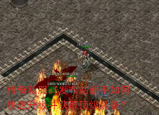 ����˽��sf����վ������ο�����������ȡ����װ����