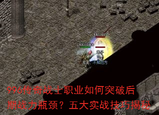 996����սʿְҵ���ͻ�ƺ���ս��ƿ�������ʵս���ɽ���