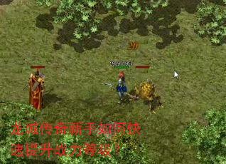 ���Ǵ���������ο�������ս���ȼ���