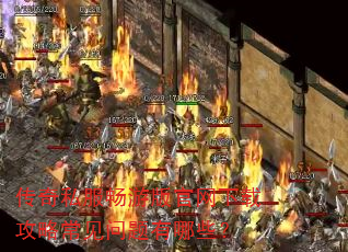 ����˽�����ΰ�������ع��Գ�����������Щ��