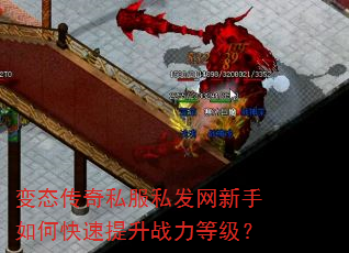 ��̬����˽��˽����������ο�������ս���ȼ���