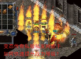 ��̬����˽��˽����������ο�������ս���ȼ���