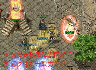 ��̬����˽��˽����������ο�������ս���ȼ���