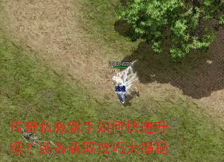 ����˽��������ο���������װ����ȡ���ɴ����