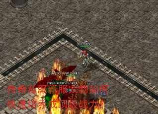 ����˽���·�������ο��������ɶ���ս����