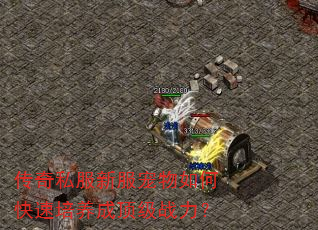 ����˽���·�������ο��������ɶ���ս����