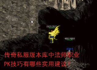 ����˽���汾���з�ʦְҵPK��������Щʵ�ý��飿