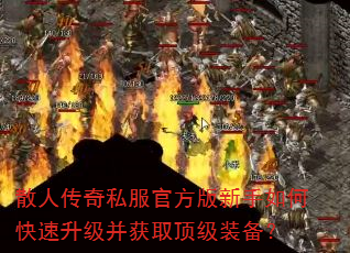 ɢ�˴���˽���ٷ���������ο�����������ȡ����װ����