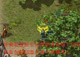 ����˽��������ο�������������װ����BOSS��ɱ��������Щ��