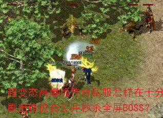 ����̬�߱��洫��˽��������ʮ������ˢ���ռ���װ����ɱȫ��BOSS��