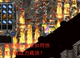 ��ְҵ�������ο���ͻ��ս��ƿ����