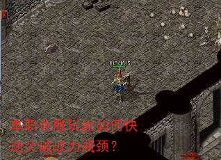 ��ְҵ�������ο���ͻ��ս��ƿ����