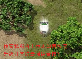 ����˽���ϻ��汾��ο���������������ǿ��ϼ���