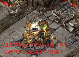 ���䵥ְҵ����˽��������ο��ٻ�ȡ����װ���뼼�ܣ�