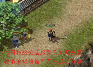 ����˽�������������ο��ٻ�ȡ����װ����ʵ�ü��ɷ���