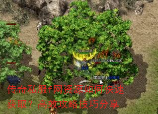 ����˽��f����Դ��ο��ٻ�ȡ����Ч���Լ��ɷ���