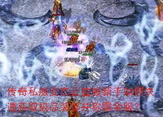 ����˽����̬�����������ο��ٻ�ȡ��Ʒװ�����ư�ȫ����