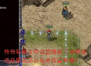 ����˽����̬�����������ο��ٻ�ȡ��Ʒװ�����ư�ȫ����