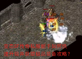 ��̬SF����˽��������ο�����������ȡ��Ʒװ�����ԣ�