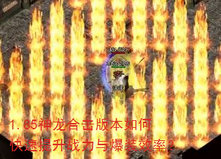 1.85�����ϻ��汾��ο�������ս���뱬װЧ�ʣ�