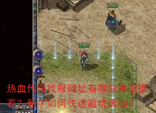 热血传奇找服网址有哪些靠谱推荐?新手如何快速避坑选服? 热血传奇找服网址有哪些靠谱推荐?新手如何快速避坑选服?