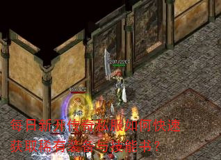 ÿ���¿�����˽����ο��ٻ�ȡϡ��װ���뼼���飿