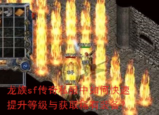 ����sf����˽������ο��������ȼ����ȡϡ��װ����