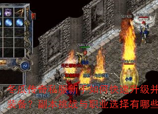 ���ϴ���˽��������ο�����������ȡ����װ����������ս��ְҵѡ������Щ���ɣ�