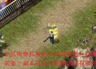 ���ϴ���˽��������ο�����������ȡ����װ����������ս��ְҵѡ������Щ���ɣ�