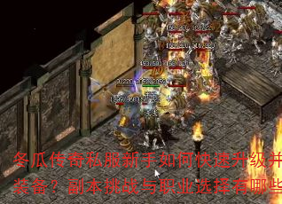 ���ϴ���˽��������ο�����������ȡ����װ����������ս��ְҵѡ������Щ���ɣ�