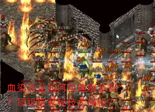 ѪȾ������ο���ˢװ������������ؼ�����أ�