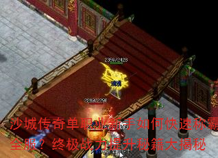 ɳ�Ǵ��浥ְҵ������ο��ٳư�ȫ�����ռ�ս�������ؼ������