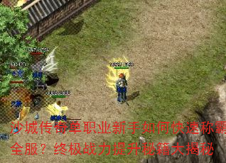 ɳ�Ǵ��浥ְҵ������ο��ٳư�ȫ�����ռ�ս�������ؼ������