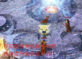 ���ɷ�����˽������ο���������ɫս������