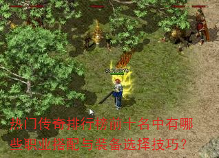 ���Ŵ������а�ǰʮ��������Щְҵ������װ��ѡ���ɣ�