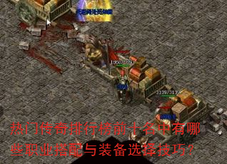 ���Ŵ������а�ǰʮ��������Щְҵ������װ��ѡ���ɣ�