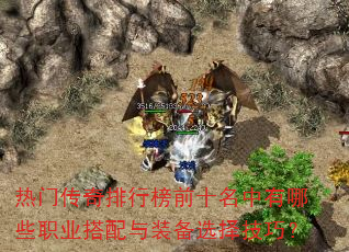 ���Ŵ������а�ǰʮ��������Щְҵ������װ��ѡ���ɣ�