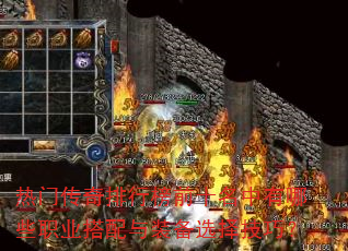 ���Ŵ������а�ǰʮ��������Щְҵ������װ��ѡ���ɣ�