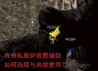 ����˽��SF�շѸ������ѡ�����Чʹ�ã�