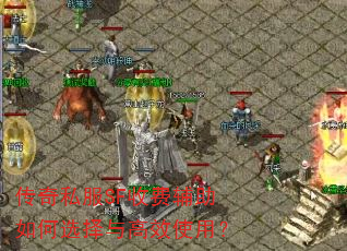 ����˽��SF�շѸ������ѡ�����Чʹ�ã�