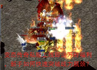 ��̬����˽�����߼�����ת������������ο���ͻ��ս��ƿ����