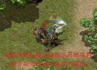 ��̬����˽�����߼�����ת������������ο���ͻ��ս��ƿ����