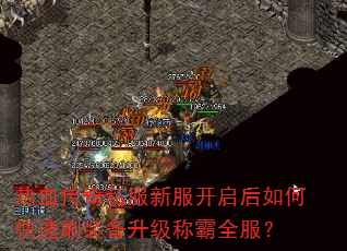 ��Ѫ����˽���·���������ο���ˢװ�������ư�ȫ����