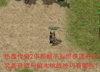 ��Ѫ����2�ֶ�������ο���������װ����ȡ�븱����ս��������Щ��