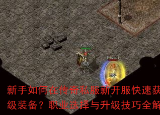 ��������ڴ���˽���¿������ٻ�ȡ����װ����ְҵѡ������������ȫ����