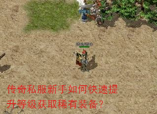 ����˽��������ο��������ȼ���ȡϡ��װ����