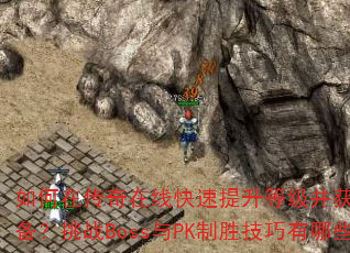 ����ڴ������߿��������ȼ�����ȡϡ��װ������սBoss��PK��ʤ��������Щ��