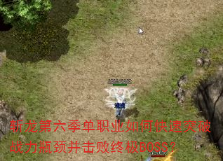 ն����������ְҵ��ο���ͻ��ս��ƿ���������ռ�BOSS��